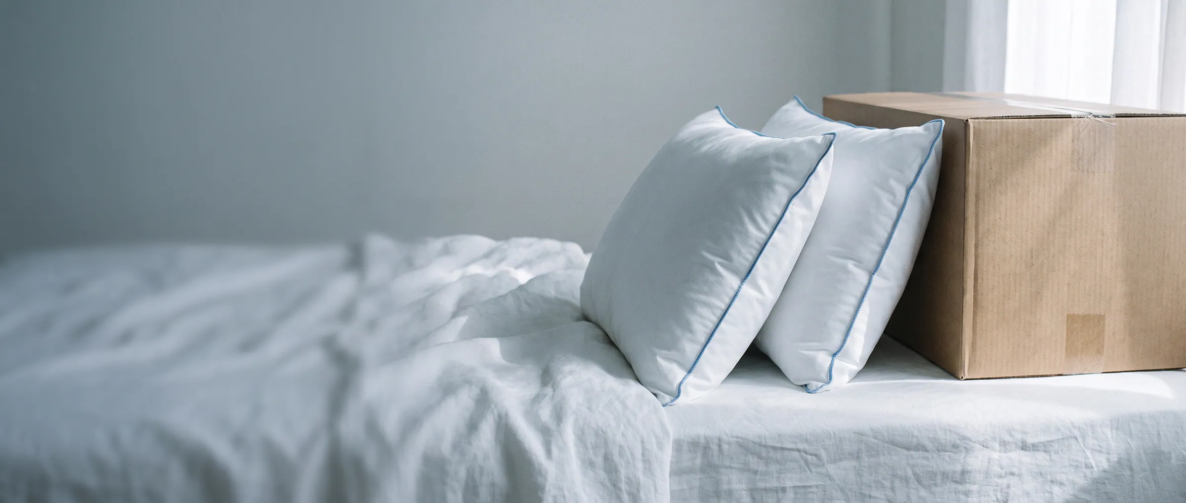 Two white Elite water pillows resting against a kraft shipping box on a bed